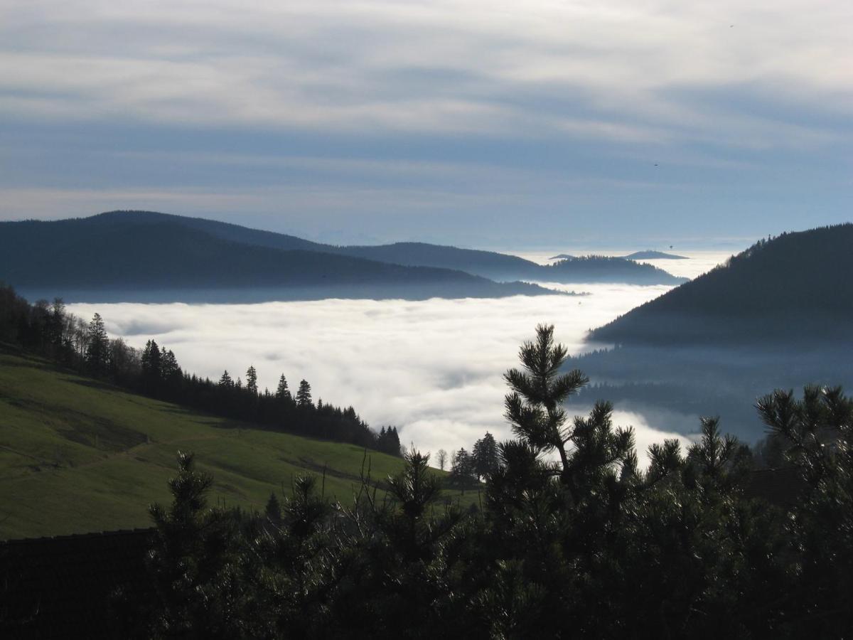Schoene Aussicht Todtnau Kültér fotó