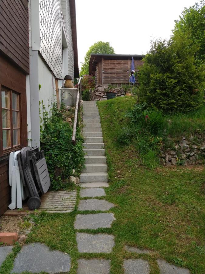 Schoene Aussicht Todtnau Kültér fotó
