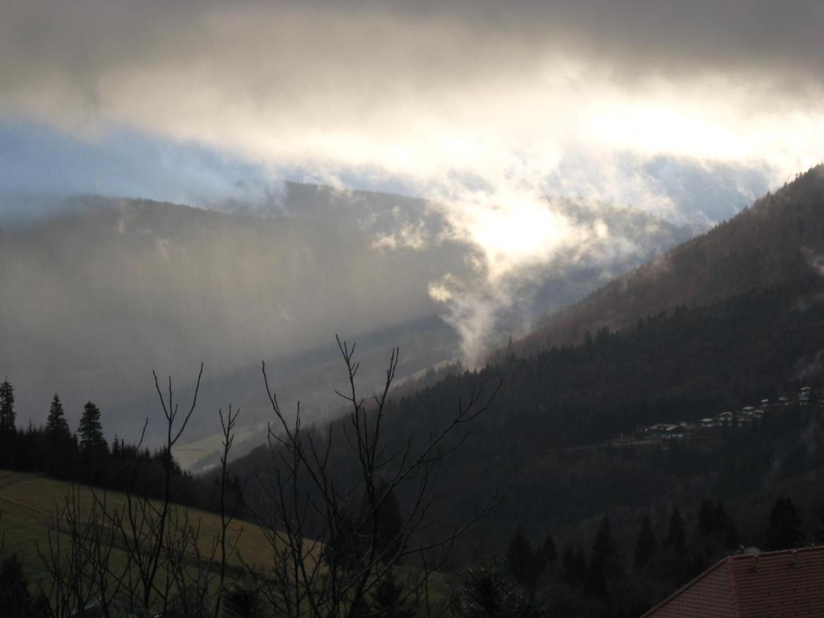 Schoene Aussicht Todtnau Kültér fotó