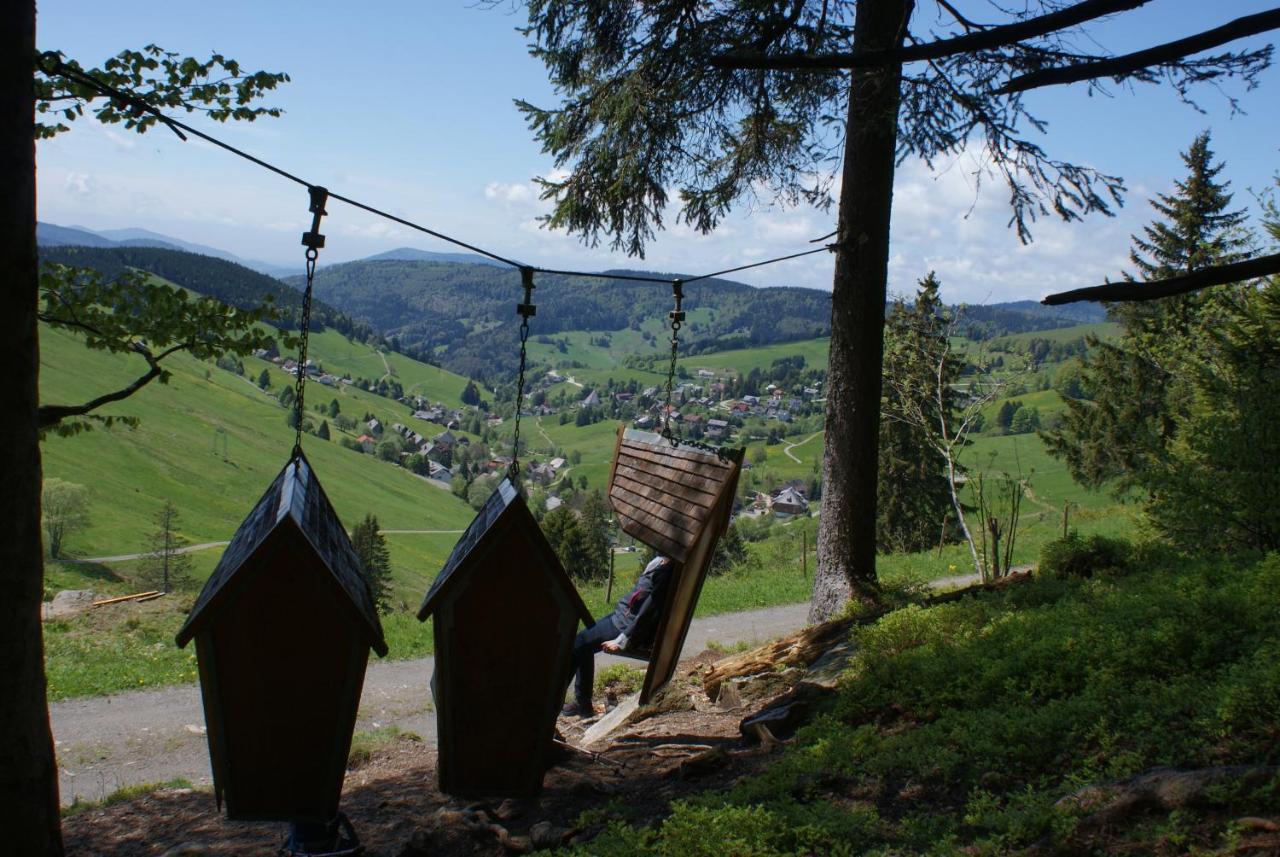 Schoene Aussicht Todtnau Kültér fotó