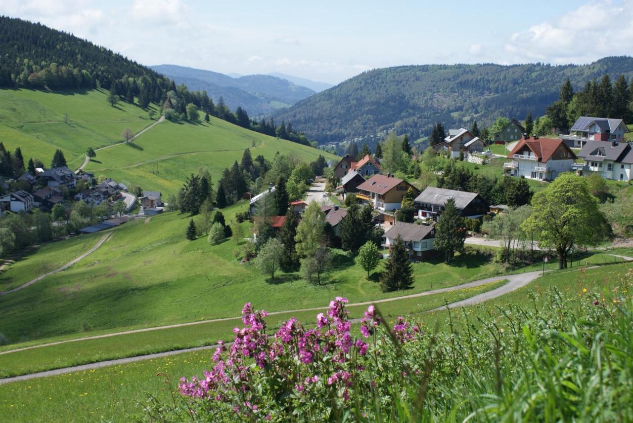 Schoene Aussicht Todtnau Kültér fotó