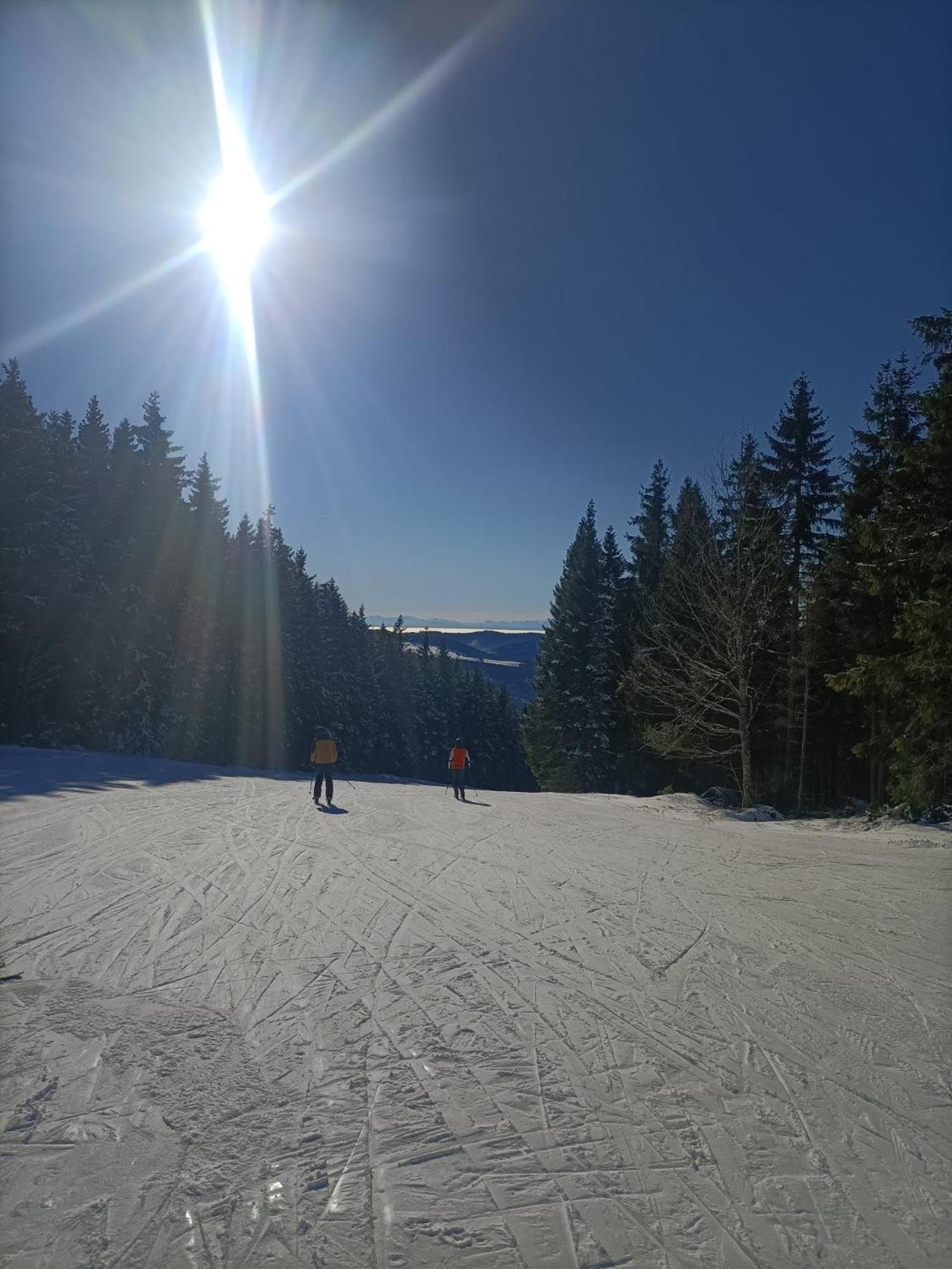 Schoene Aussicht Todtnau Kültér fotó