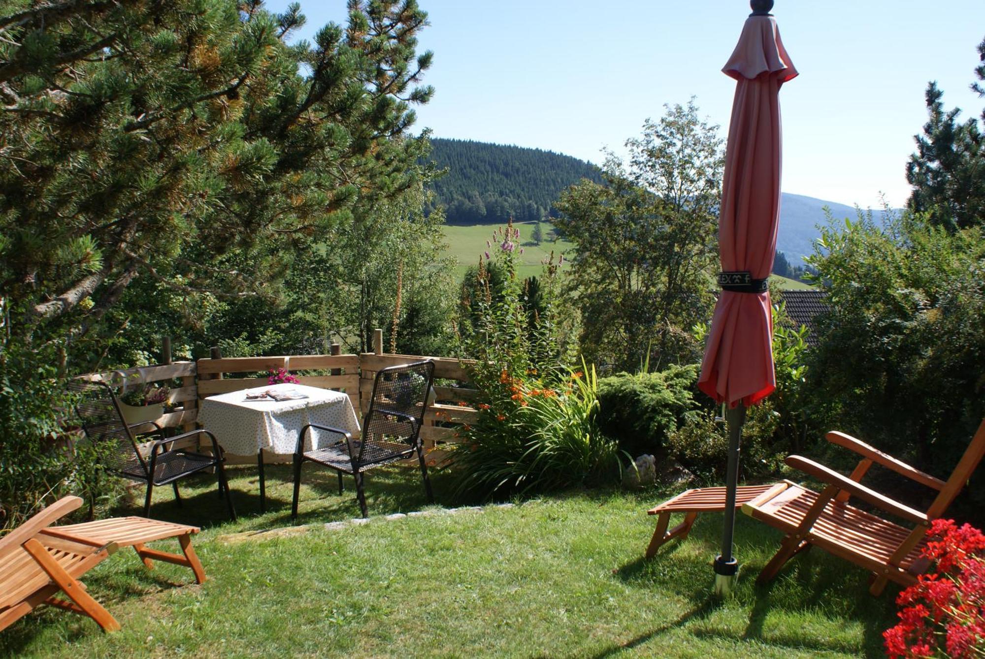 Schoene Aussicht Todtnau Kültér fotó